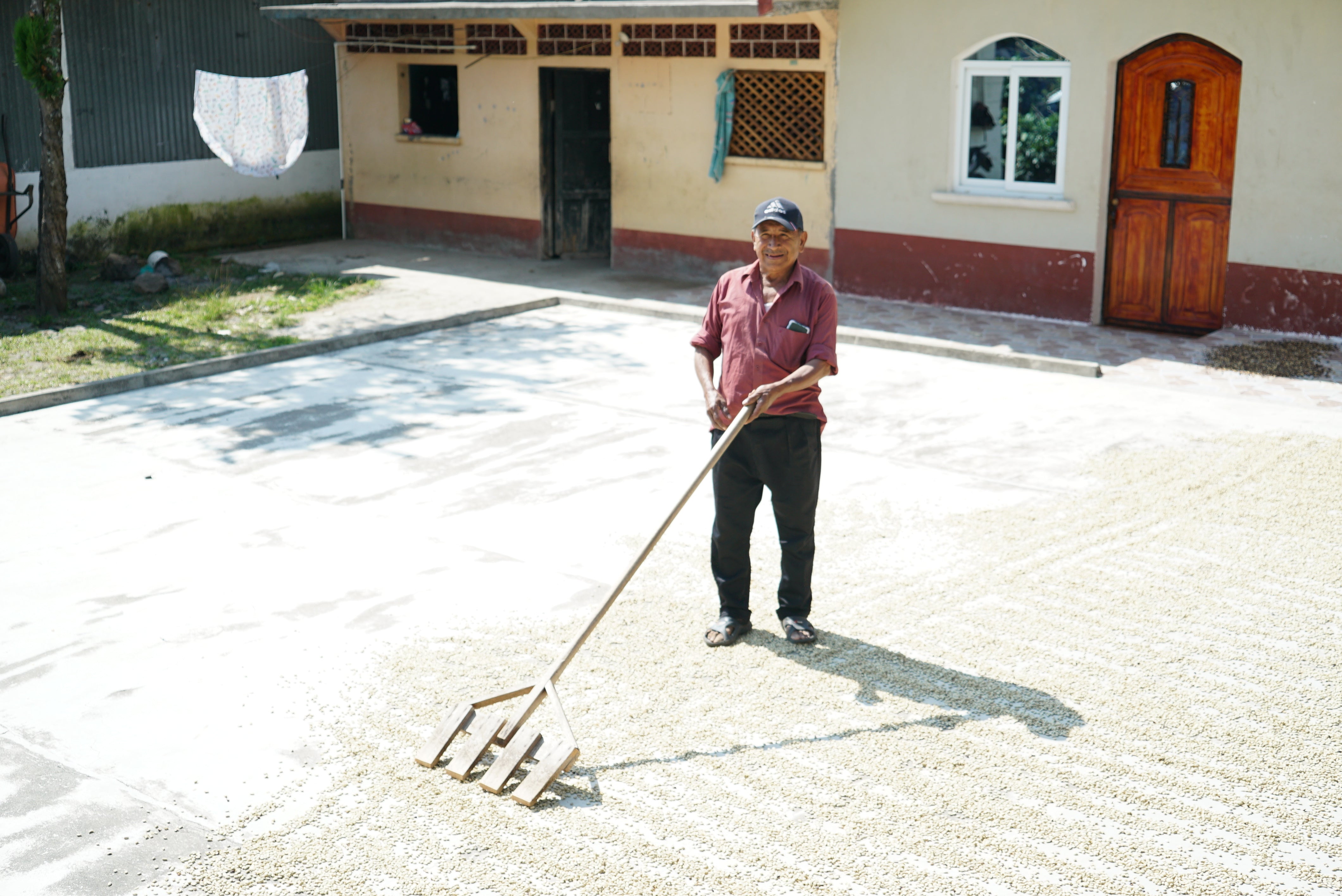 GUATEMALA, washed