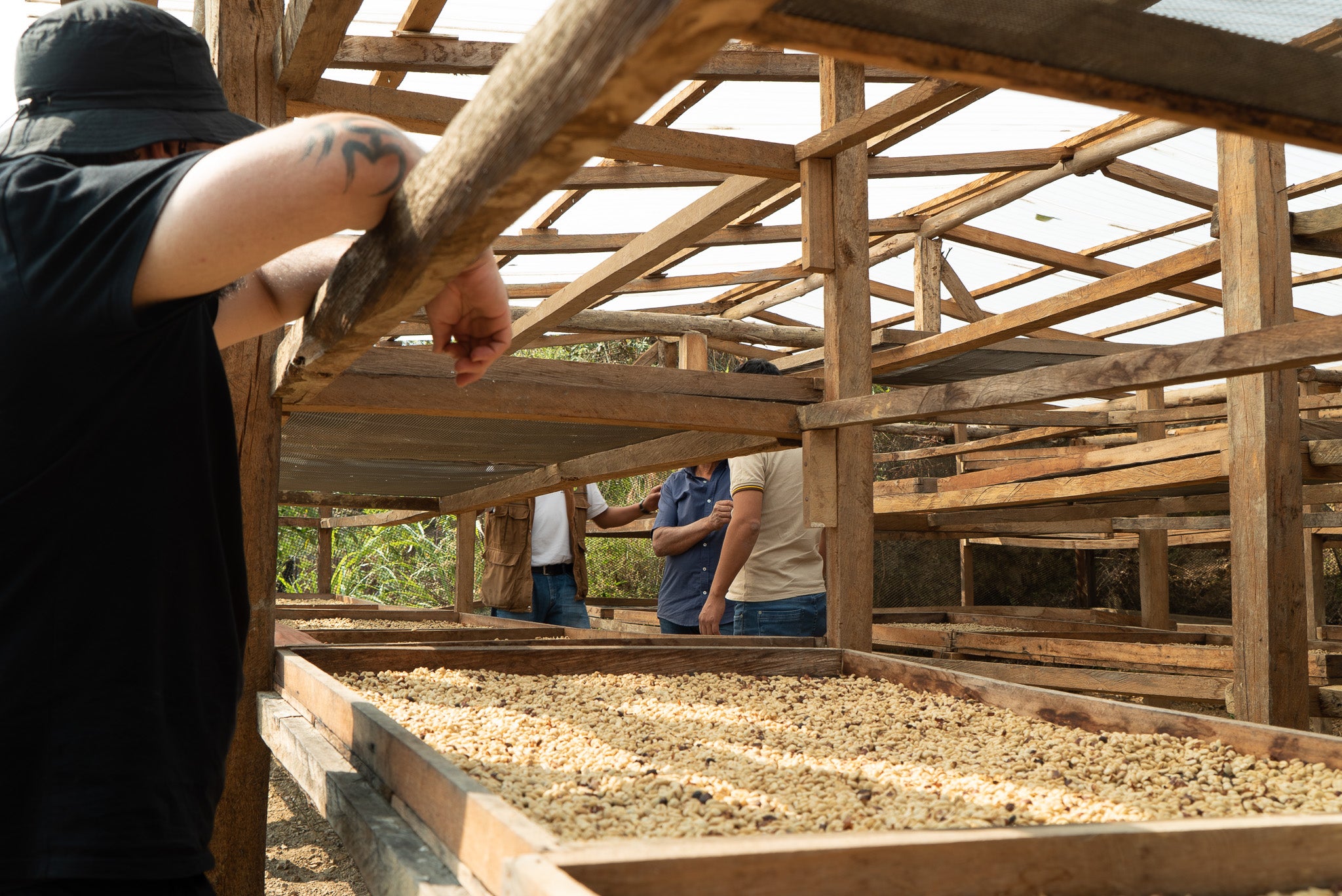 Peru, Don Calucho | Microlot