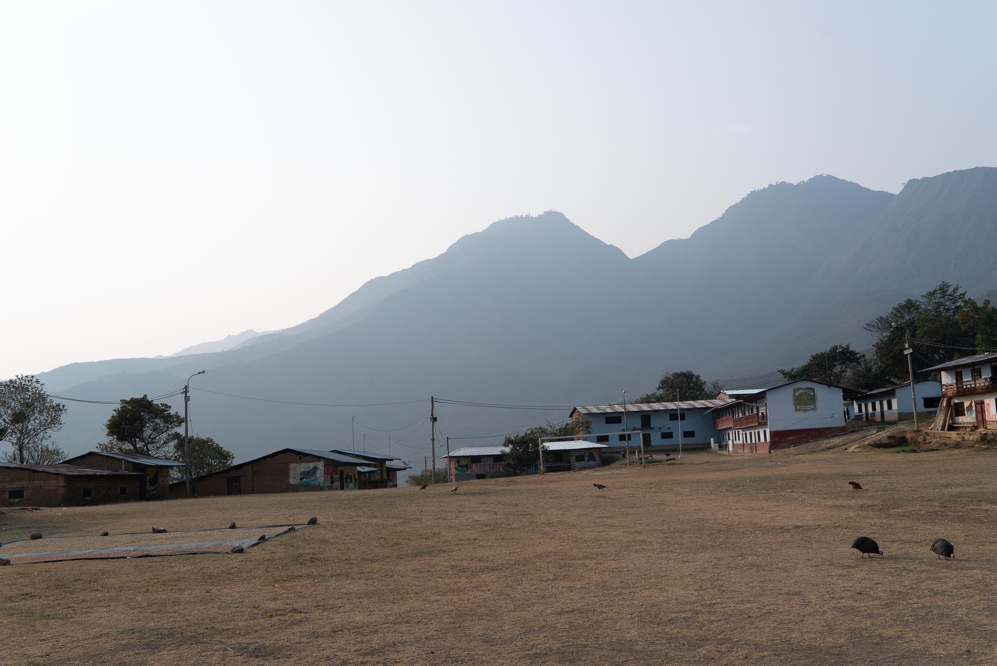 Peru, El Profesor | Microlot