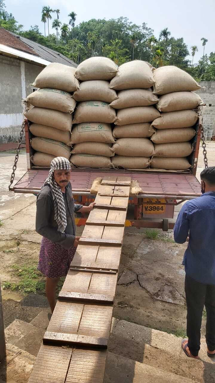 INDIEN washed - 100 % Robusta