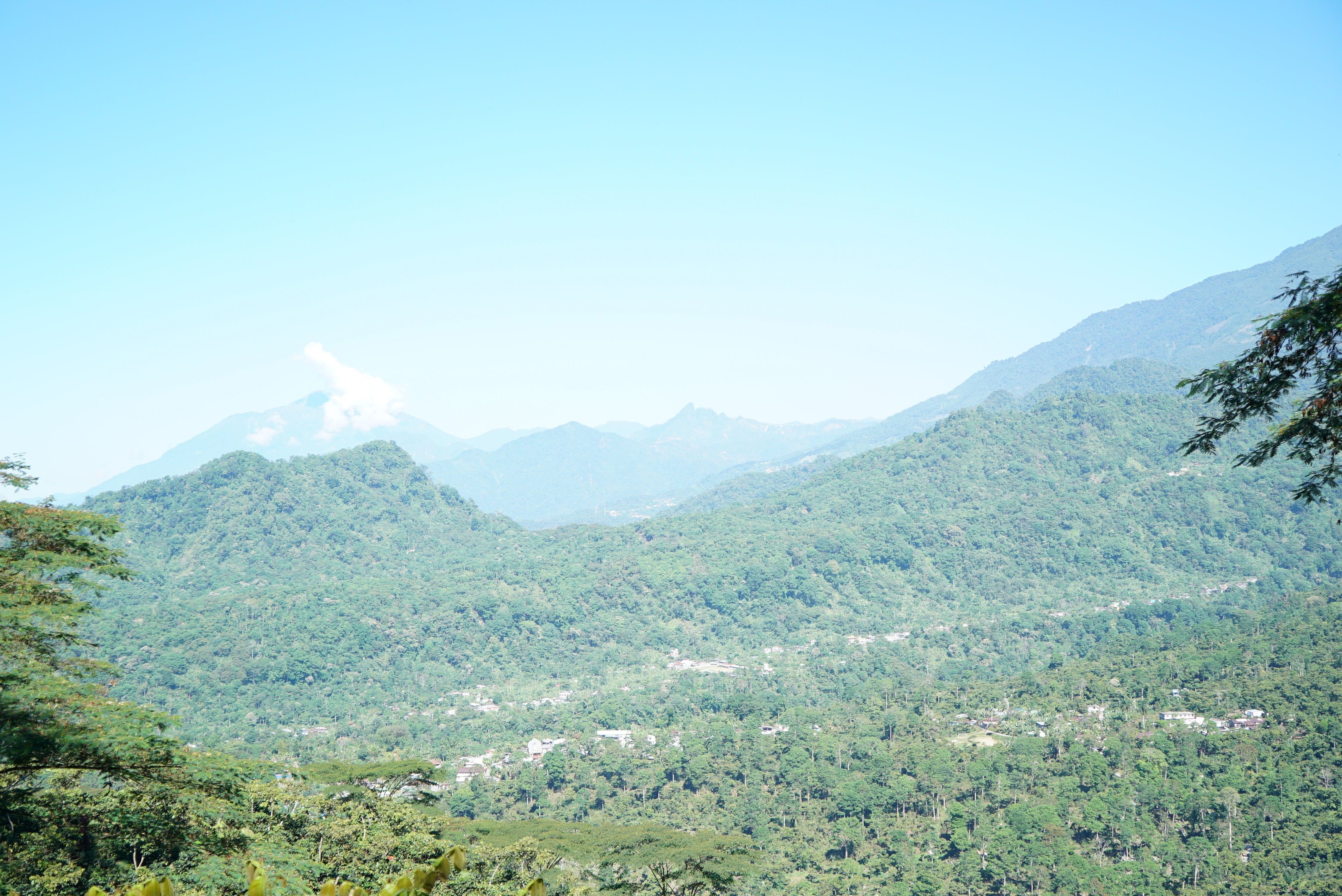 GUATEMALA, washed
