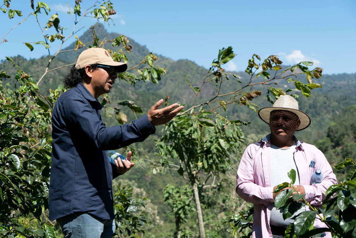 Gespräche auf der Finca eines Kooperativenmitglieds (Guatemala, 2023)
